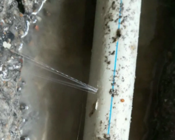 淮上卫生间测漏水多少钱