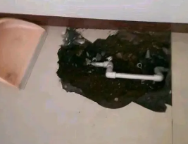 淮上卫生间测漏水多少钱